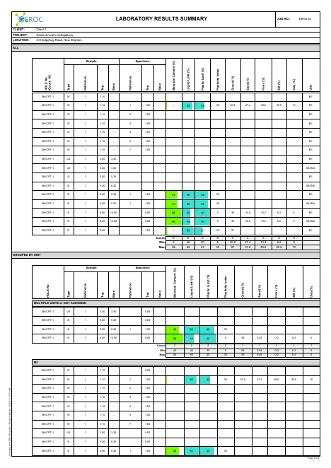 Results Summary example report