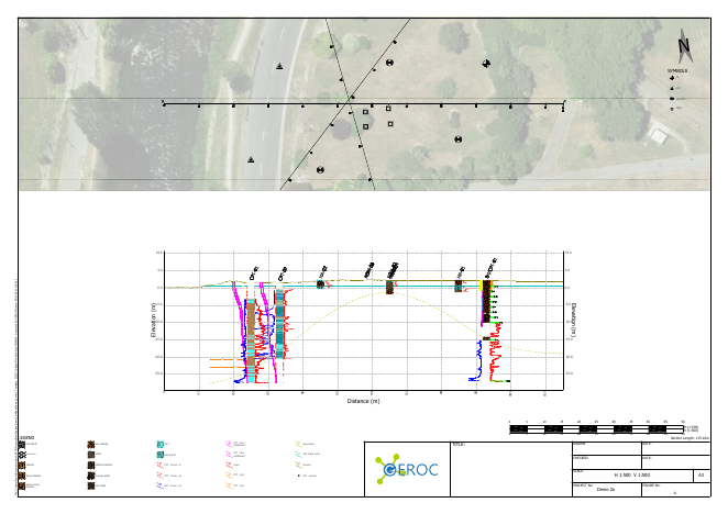 Section - Professional Version example report